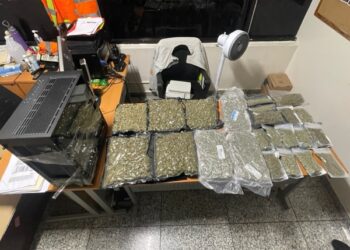 Acciones antinarcóticas: En dos operativos cruciales incautan marihuana y cocaína