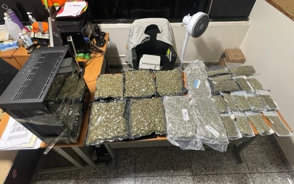 Acciones antinarcóticas: En dos operativos cruciales incautan marihuana y cocaína