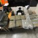 Acciones antinarcóticas: En dos operativos cruciales incautan marihuana y cocaína