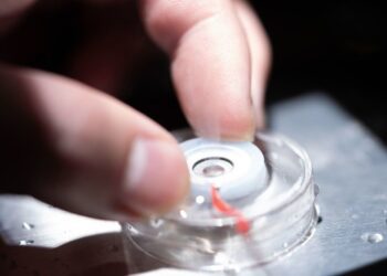 Descubrimiento revolucionario: La luz provoca evaporación del agua