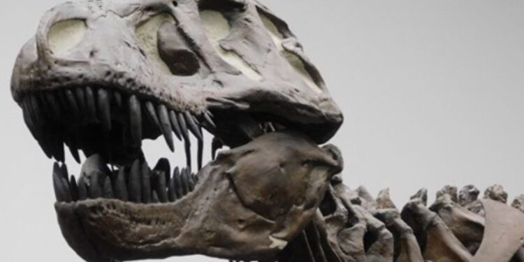 La Inteligencia del T. rex: No tan astuto como un babuino