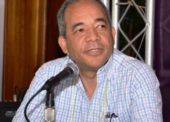 Bichara y Escuder asguran existe crisis en el sector eléctrico