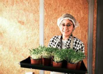 OIT propone guía para el trabajo de migrantes en América Latina