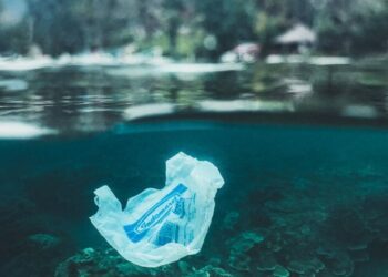 Tribunal mundial del mar establece responsabilidad de los Estados