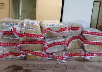 Incautan 52 pacas de marihuana en operativo en Peravia