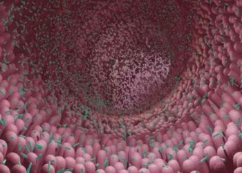 Estudios alertan sobre fármacos para perder peso y una dieta rica en grasas