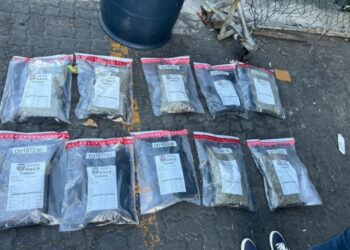 Ingeniosos métodos: Incautan 32 paquetes de marihuana en Puerto Haina