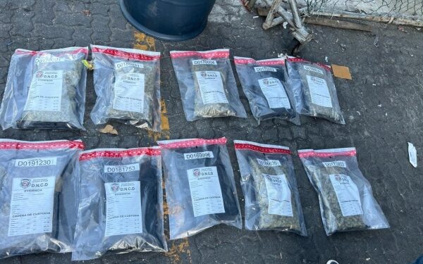 Ingeniosos métodos: Incautan 32 paquetes de marihuana en Puerto Haina