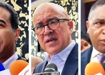 Dirigentes del PLD dicen urge proceso de renovación del partido