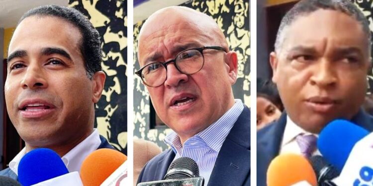 Dirigentes del PLD dicen urge proceso de renovación del partido