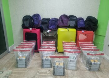 Frustran envío de 104 paquetes de cocaína a Portugal y arresta a sospechoso