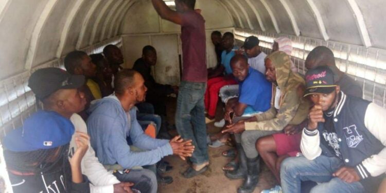 Durante operativo en Los Haitises detienen otras 439 personas por delitos ambientales