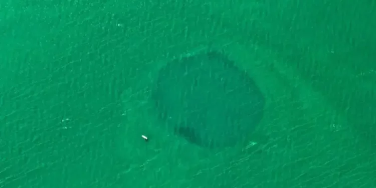 Descubren el agujero azul más profundo del Mundo frente a las costas de México y Belice