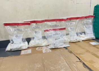 Decomisan cocaína en banco de baterías destinadas a Italia a través de Imposdom