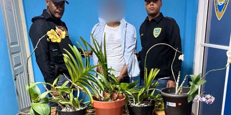 Capturado el  “Ladrón de Las Orquídeas”