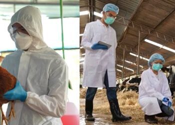 USA reporta gripe aviar H5N1 en humanos e infección por hongos transmisión sexual  