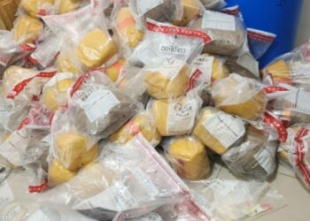 Desmantelan Red de Narcotráfico en Santiago: Confiscan más de 500 Libras de Marihuana