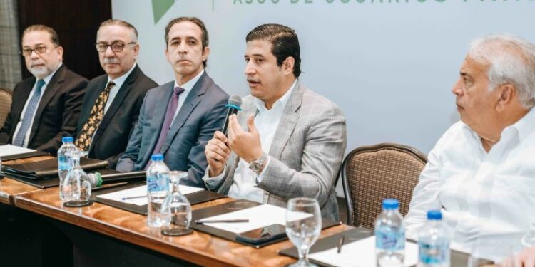 Crean la Asociación de Usuarios de Paneles Solares de RD (ADUPAS)