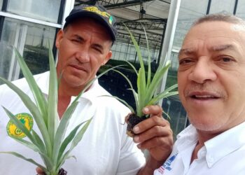 República Dominicana avanza en la tecnología agropecuaria