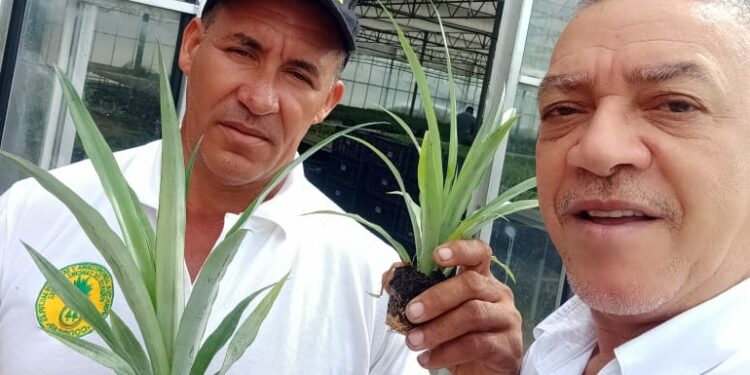 República Dominicana avanza en la tecnología agropecuaria