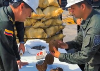 La nueva táctica del narcotráfico: Cocaína en cocos desde  RD