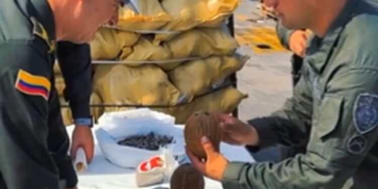 La nueva táctica del narcotráfico: Cocaína en cocos desde RD