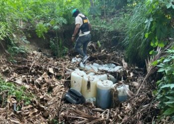 Arrestan 14 personas en operativo de búsqueda y rastreo en costa Bahía de Ocoa 