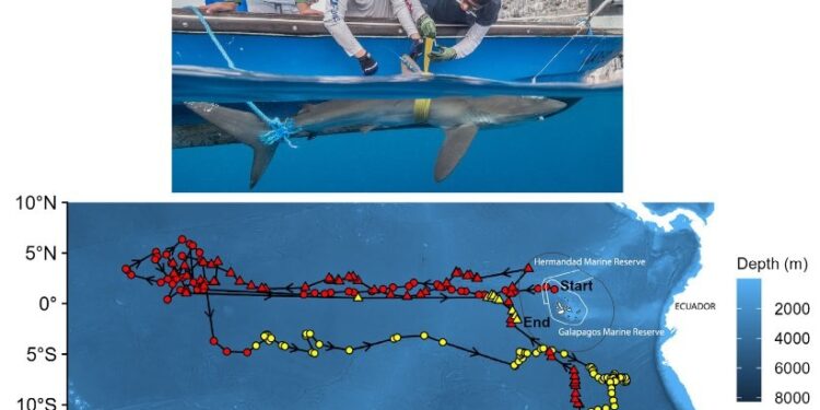 Apple Intelligence: La IA personal y de Apple revolucionará la experiencia del usuario