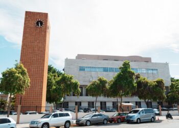 Alcaldía sancionará a responsables de poda ilegal en el parque Mirador Sur