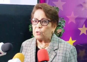 Alejandrina Germán: para las reformas se debe buscar el consenso