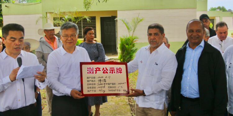 Tecnología China aporta rendimiento producción arroz en RD