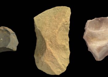 Estudio destaca la evolución del conocimiento tecnológico