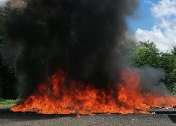 Procuraduría quema más de 400 kg de drogas incautadas