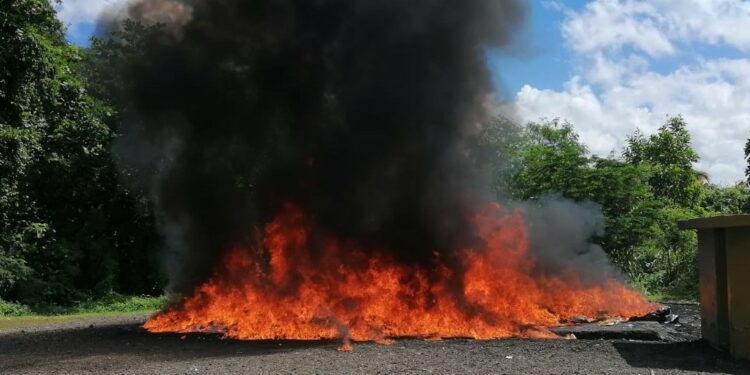 Procuraduría quema más de 400 kg de drogas incautadas