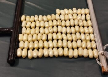 Arrestan extranjero con más de 100 bolsita de droga  en el estómago