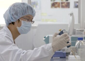 OMS toma la iniciativa para una vacuna contra la gripe aviar