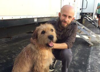 Roger Wasserman brilla en "Arthur The King" con Mark Wahlberg