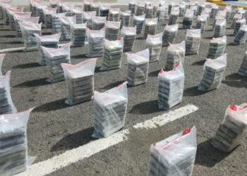 Dos golpes contundentes al narcotráfico incluye una tonelada de cocaína 