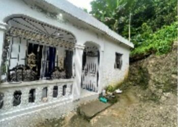 Abatido "El Hombre Araña" en un dramático enfrentamiento con la policía