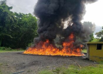 Ascienden a más de 14 toneladas las drogas incineradas en siete meses