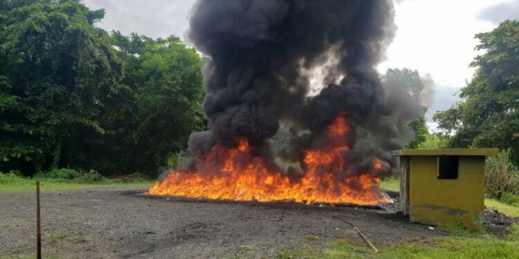 Ascienden a más de 14 toneladas las drogas incineradas en siete meses