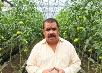 Propone activar la agropecuaria para evitar más impuestos con reformas