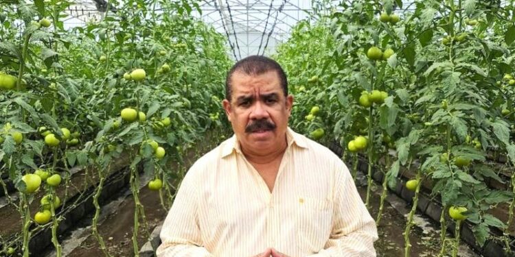 Propone activar la agropecuaria para evitar más impuestos con reformas