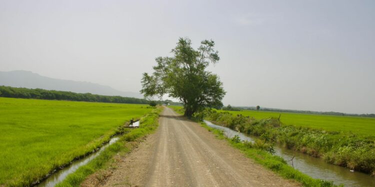 Agricultura entrega 17 km. de caminos vecinales en Valverde