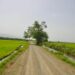 Agricultura entrega 17 km. de caminos vecinales en Valverde