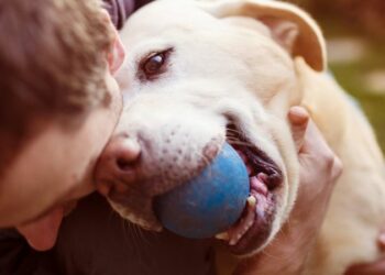 El olor del estrés humano afecta a las emociones de los perros, según un estudio