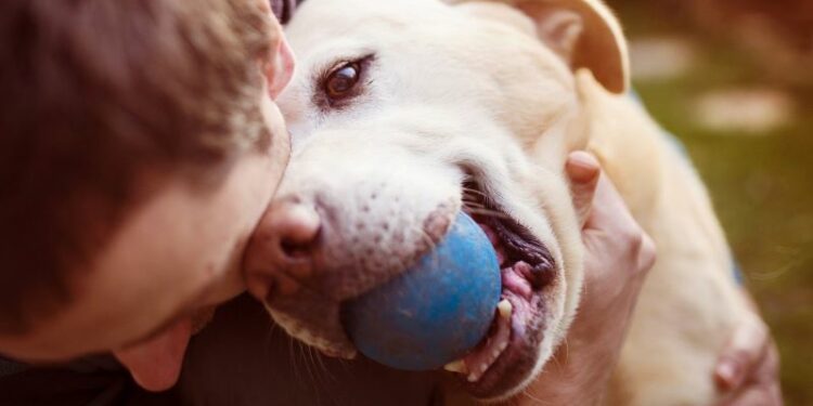 El olor del estrés humano afecta a las emociones de los perros, según un estudio