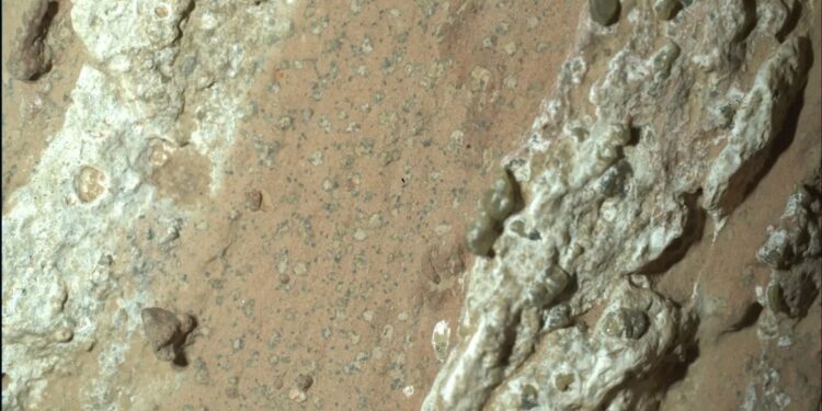 Perseverance descubre roca intrigante en Marte