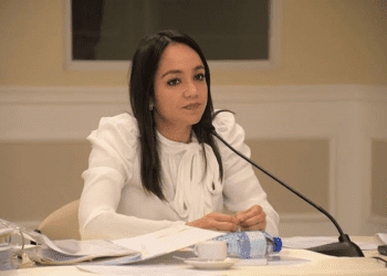 Faride Raful es la segunda mujer que ocupa Interior y Policía