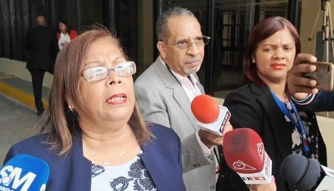 Diputada PLD: necesitamos un código penal que proteja a todos los ciudadanos